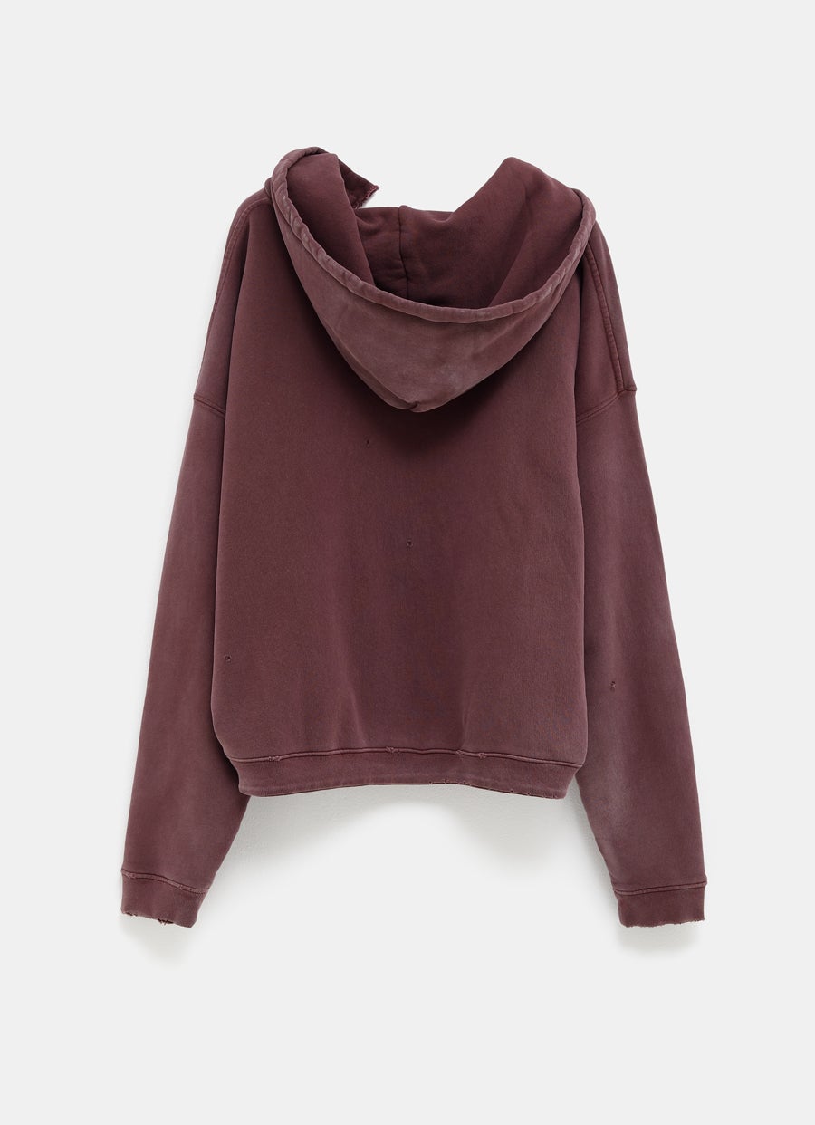 Sudadera con capucha Classic logo