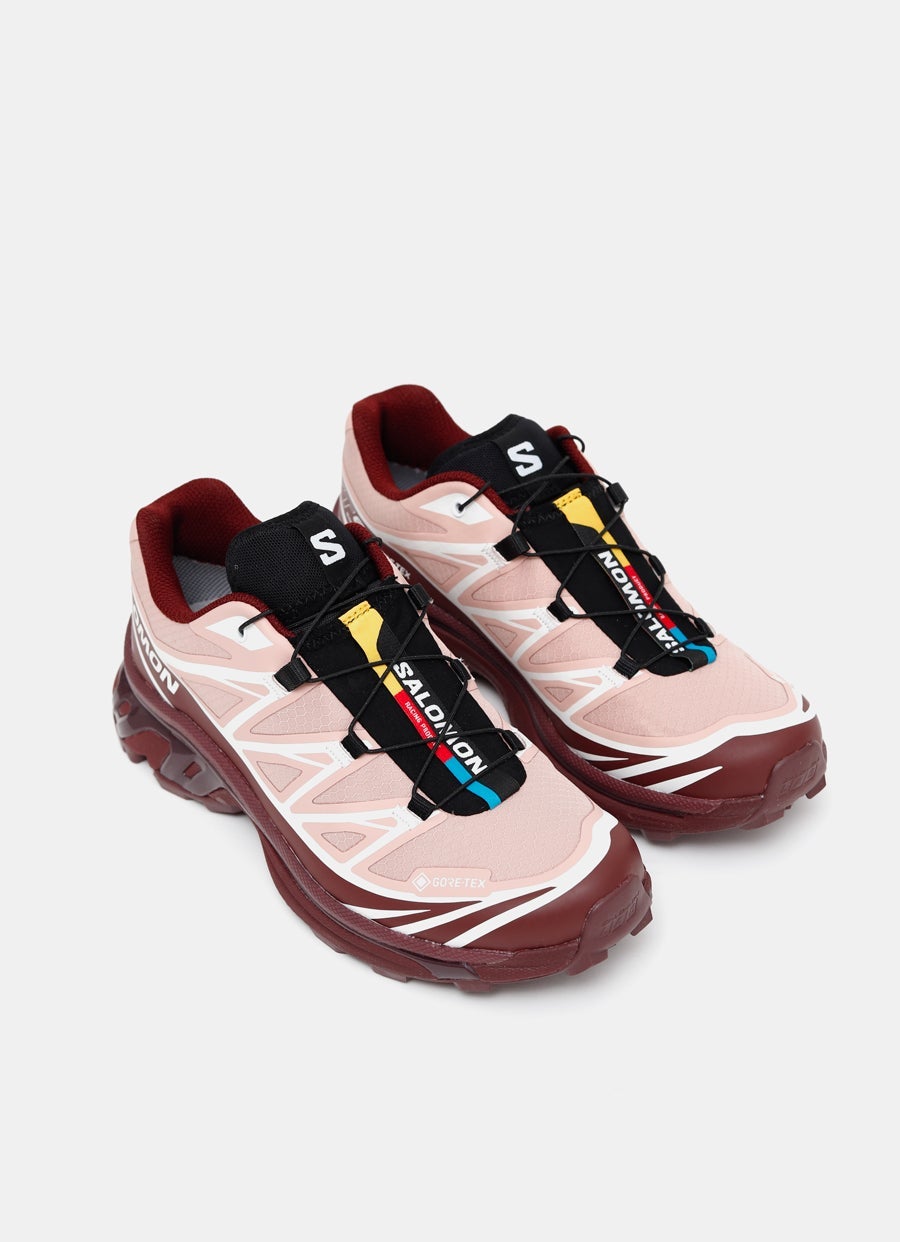 Zapatilla XT-6 GORE-TEX