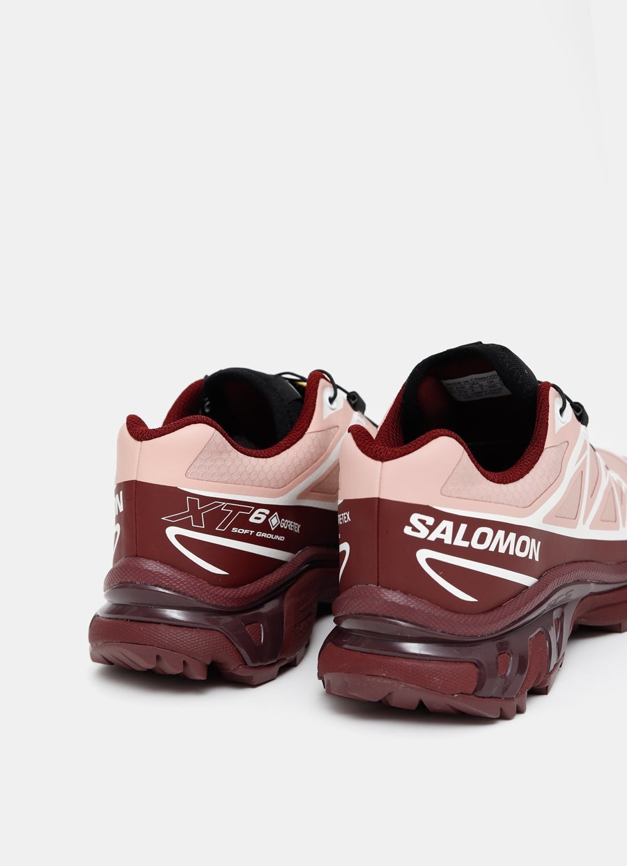 Zapatilla XT-6 GORE-TEX