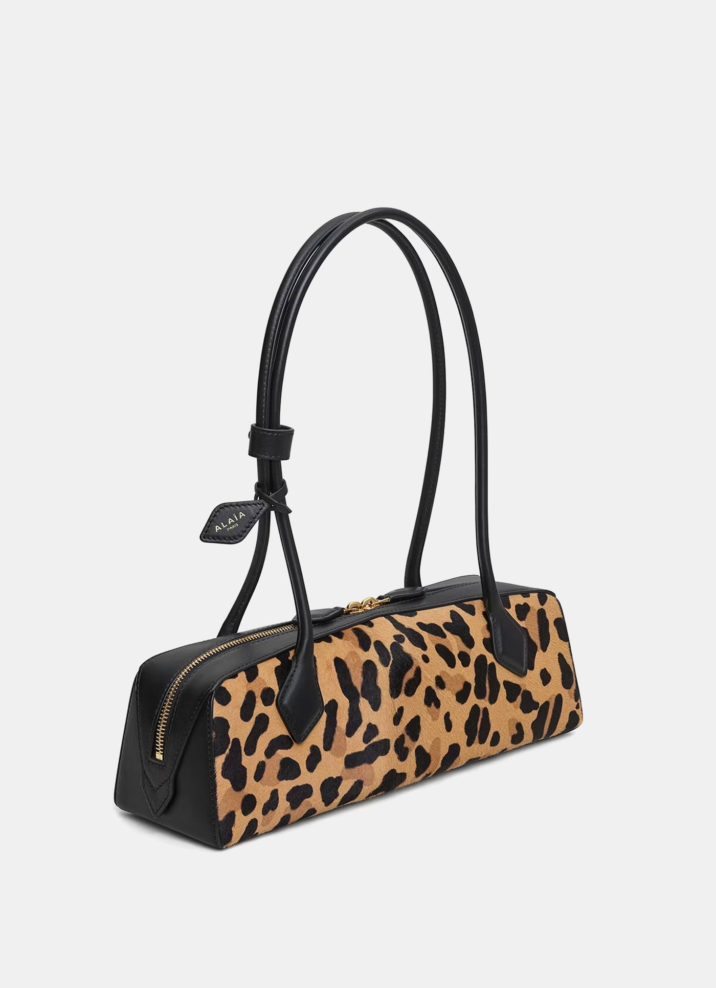 Bolso Le Teckel mediano