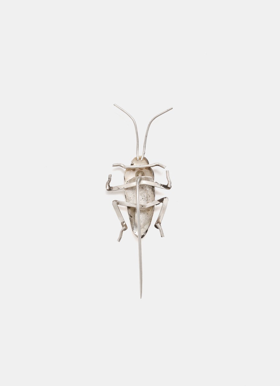 Broche cucaracha