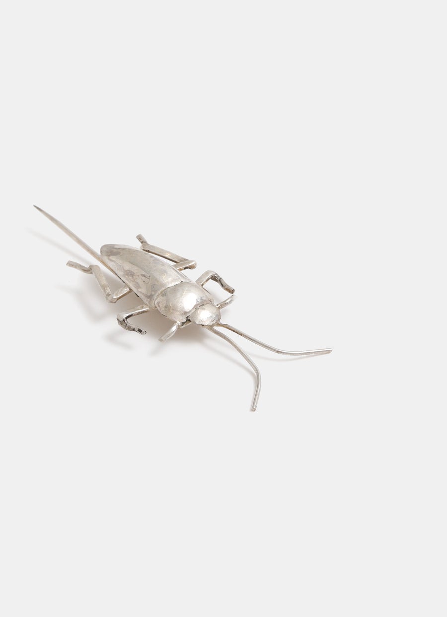 Broche cucaracha