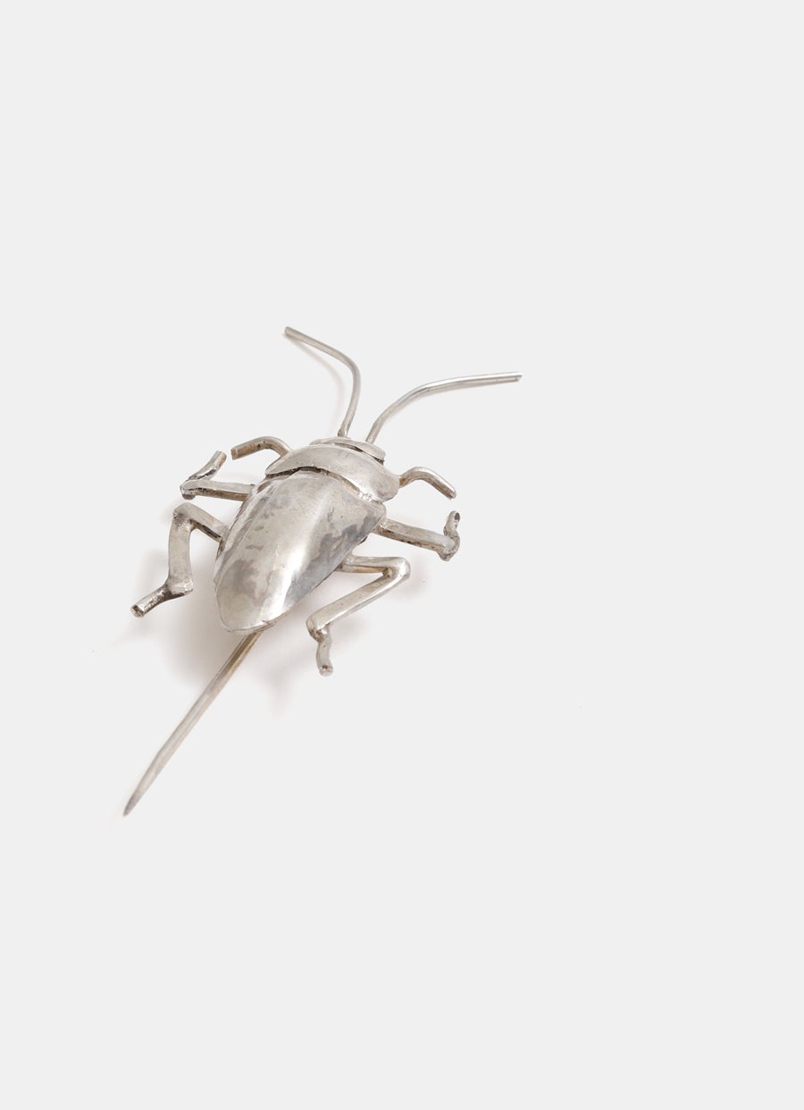 Broche cucaracha