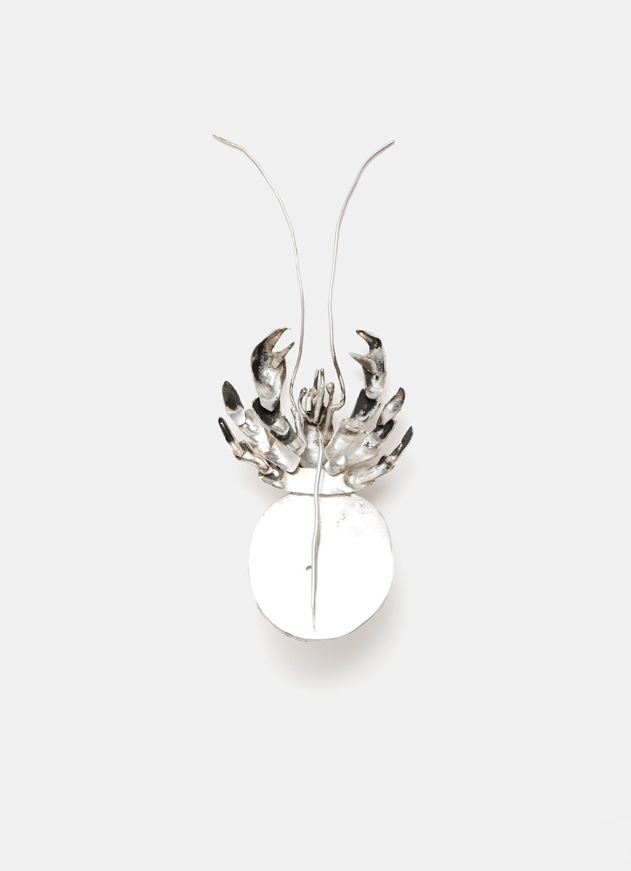 Broche cangrejo ermitaño
