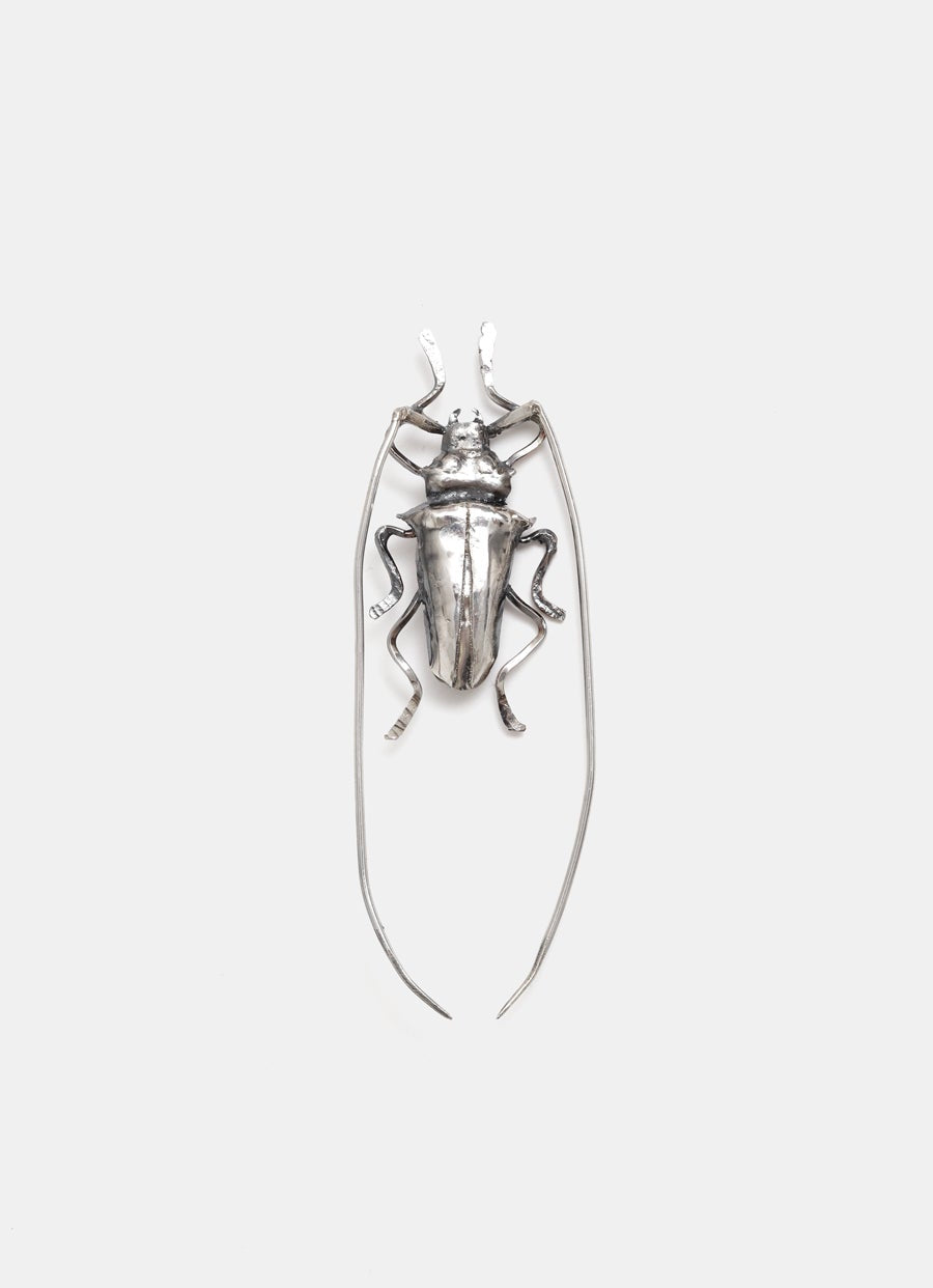Broche escarabajo