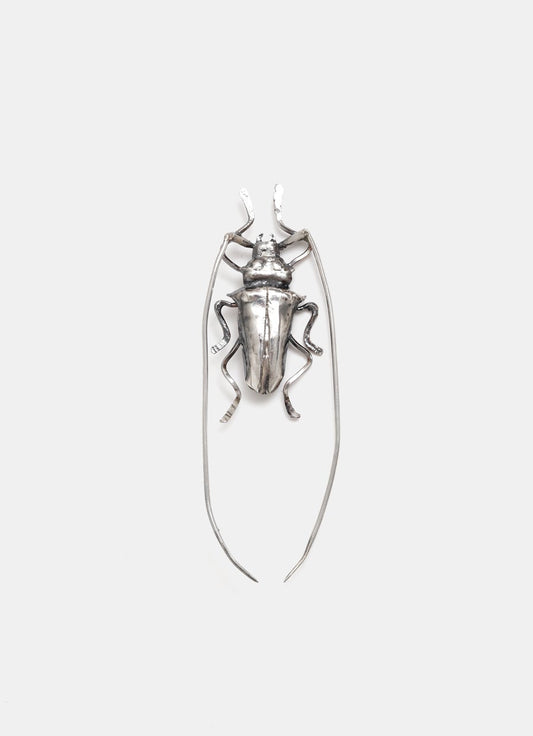 Broche escarabajo