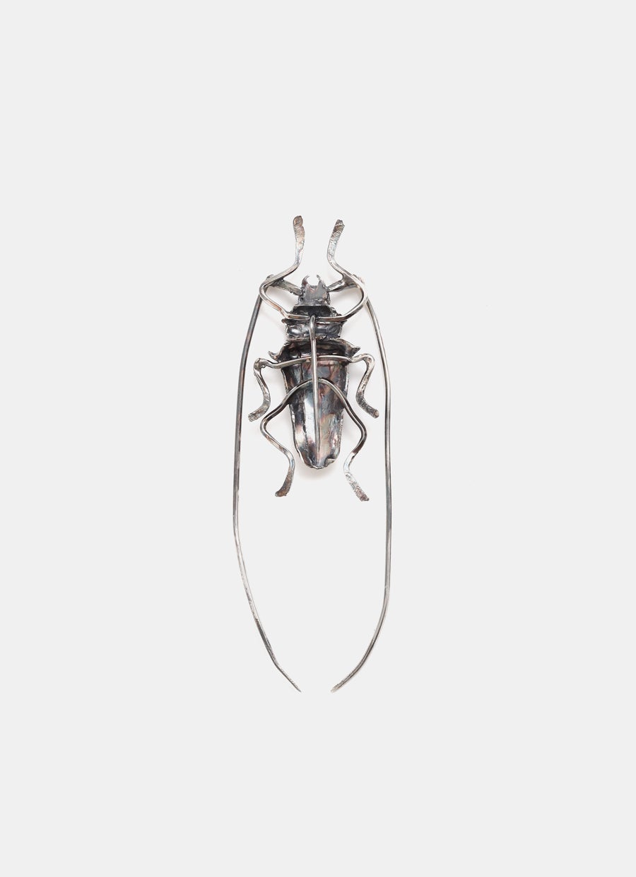 Broche escarabajo