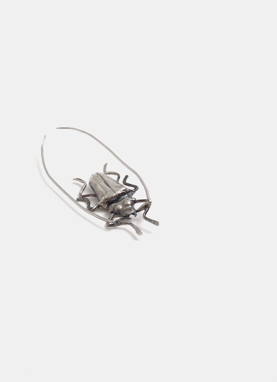 Broche escarabajo