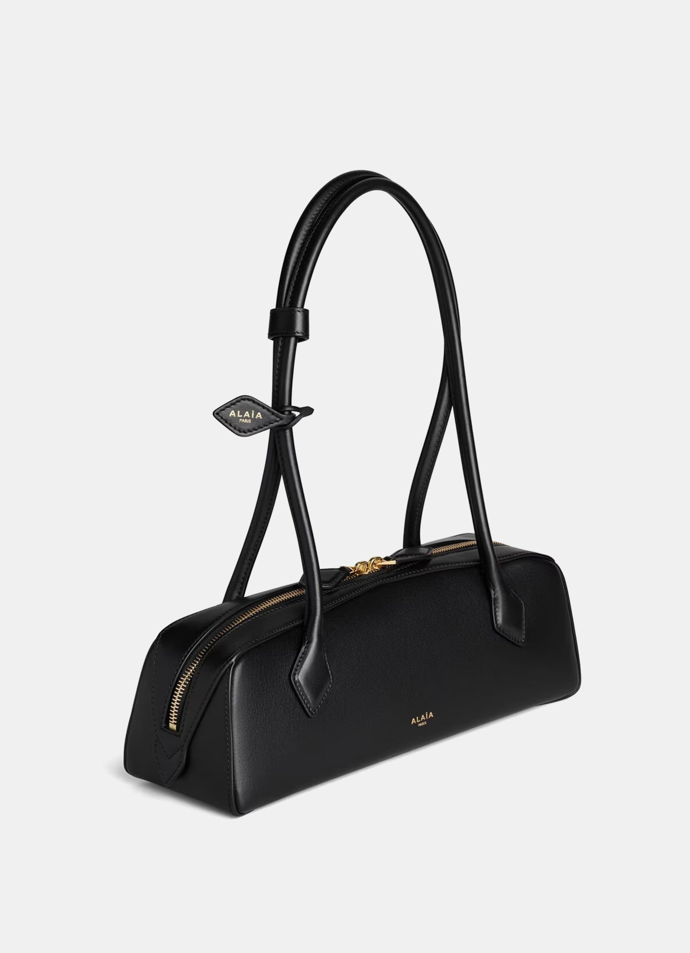 Bolso mediano Le Teckel