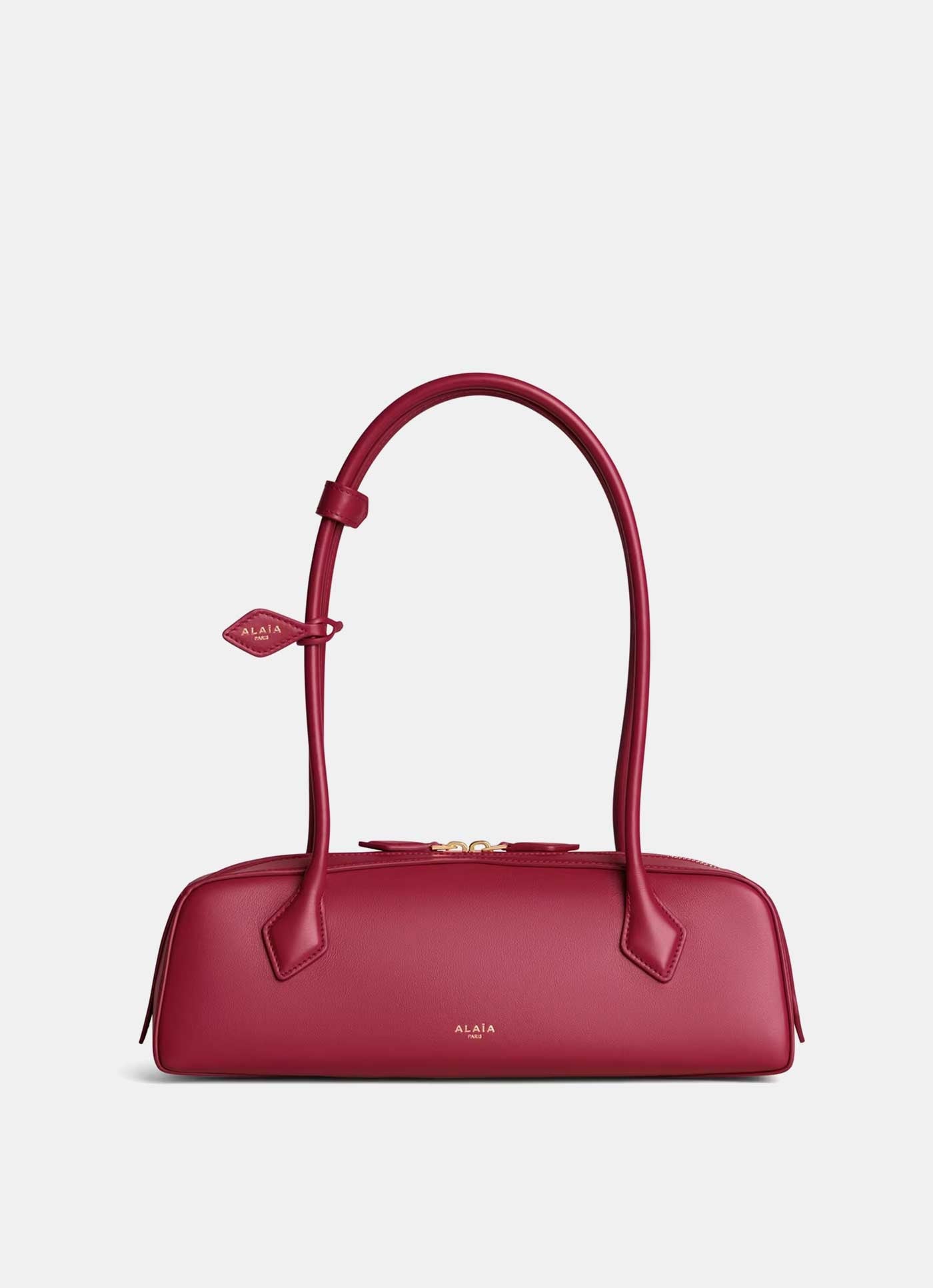 Bolso mediano Le Teckel