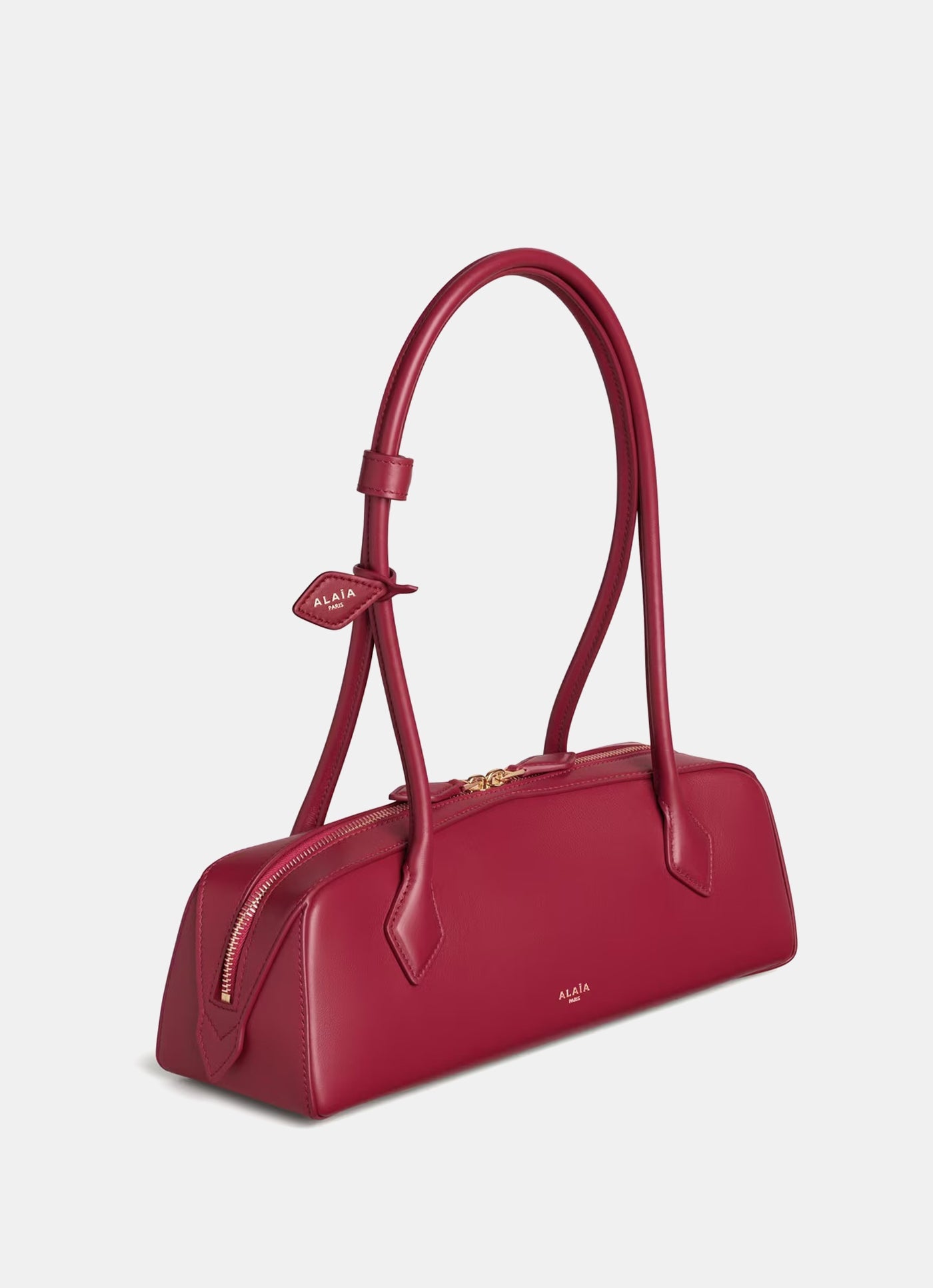 Bolso mediano Le Teckel