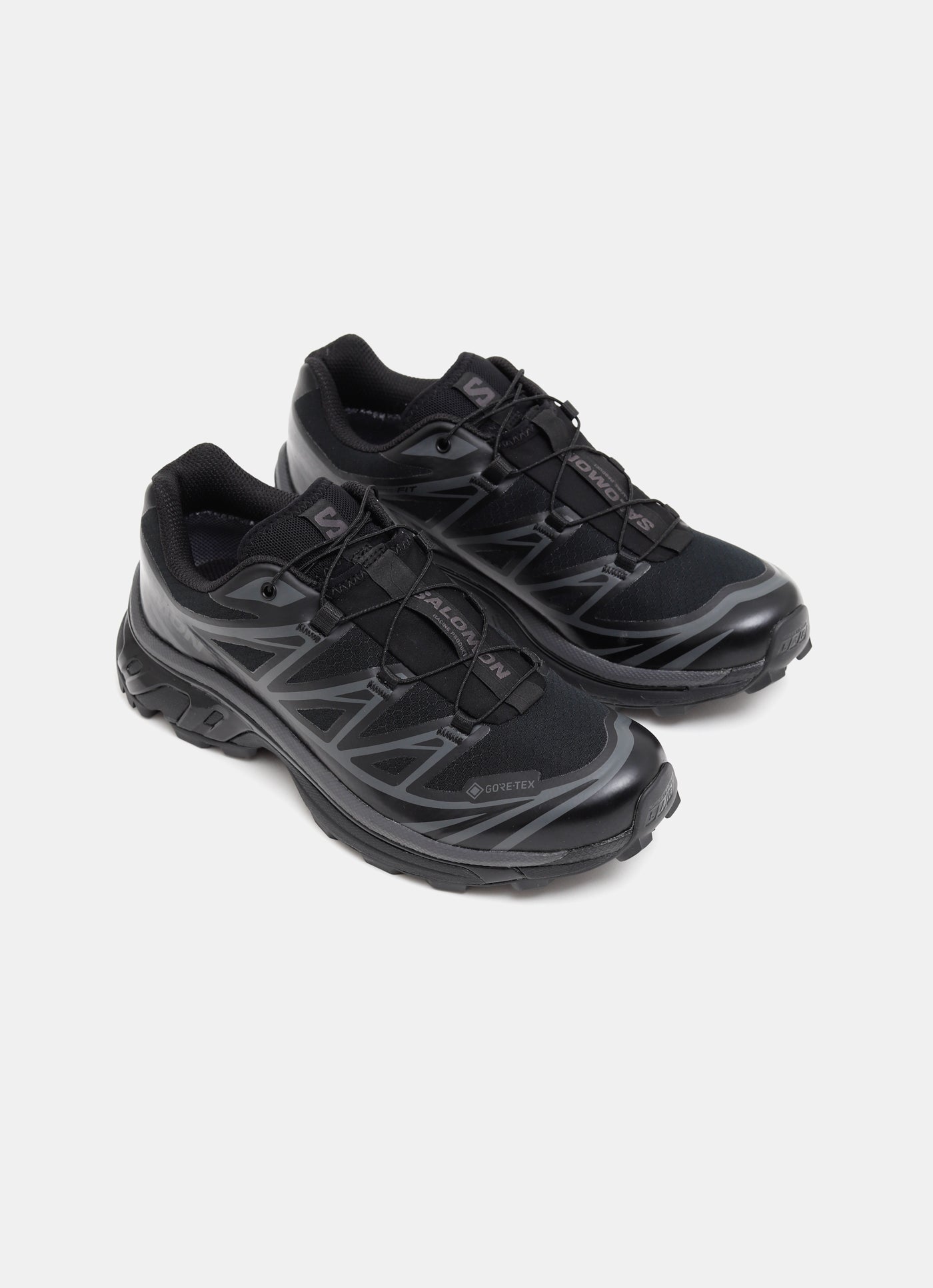 Zapatilla XT-6 Gore-Tex