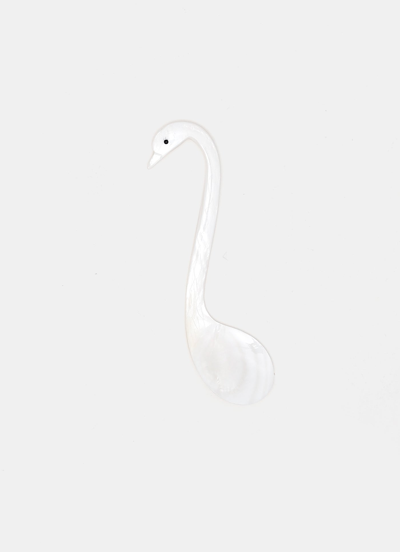 Cucharilla cisne