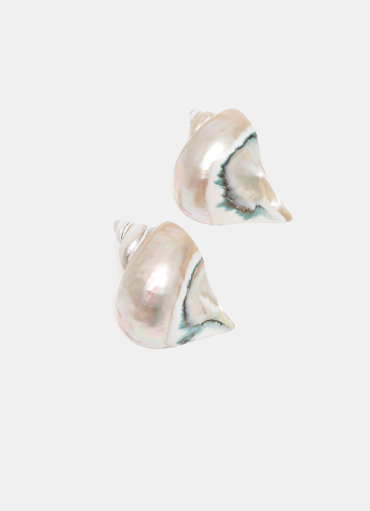 Servilleteros de caracola