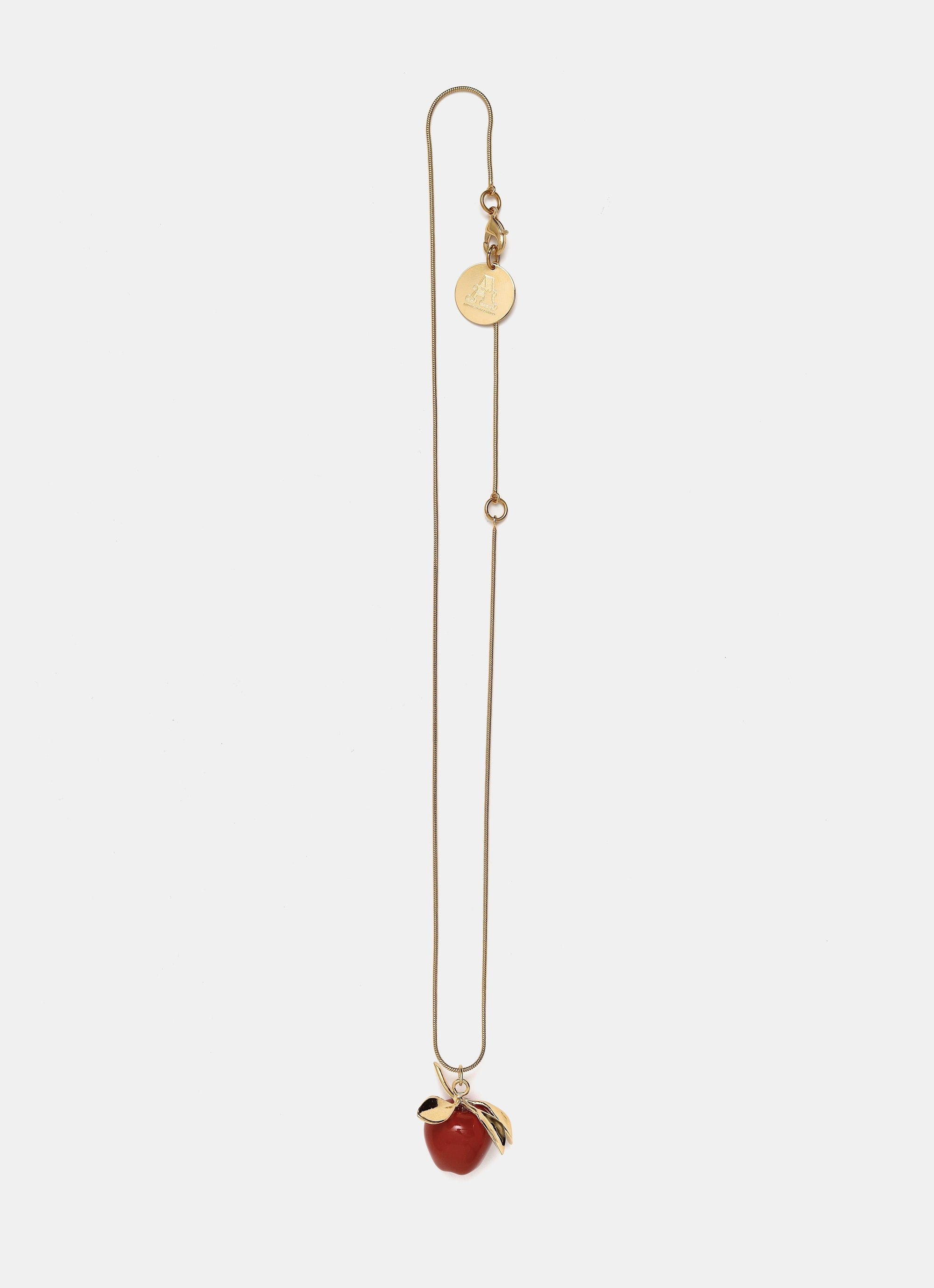 Cadena con colgante Apple