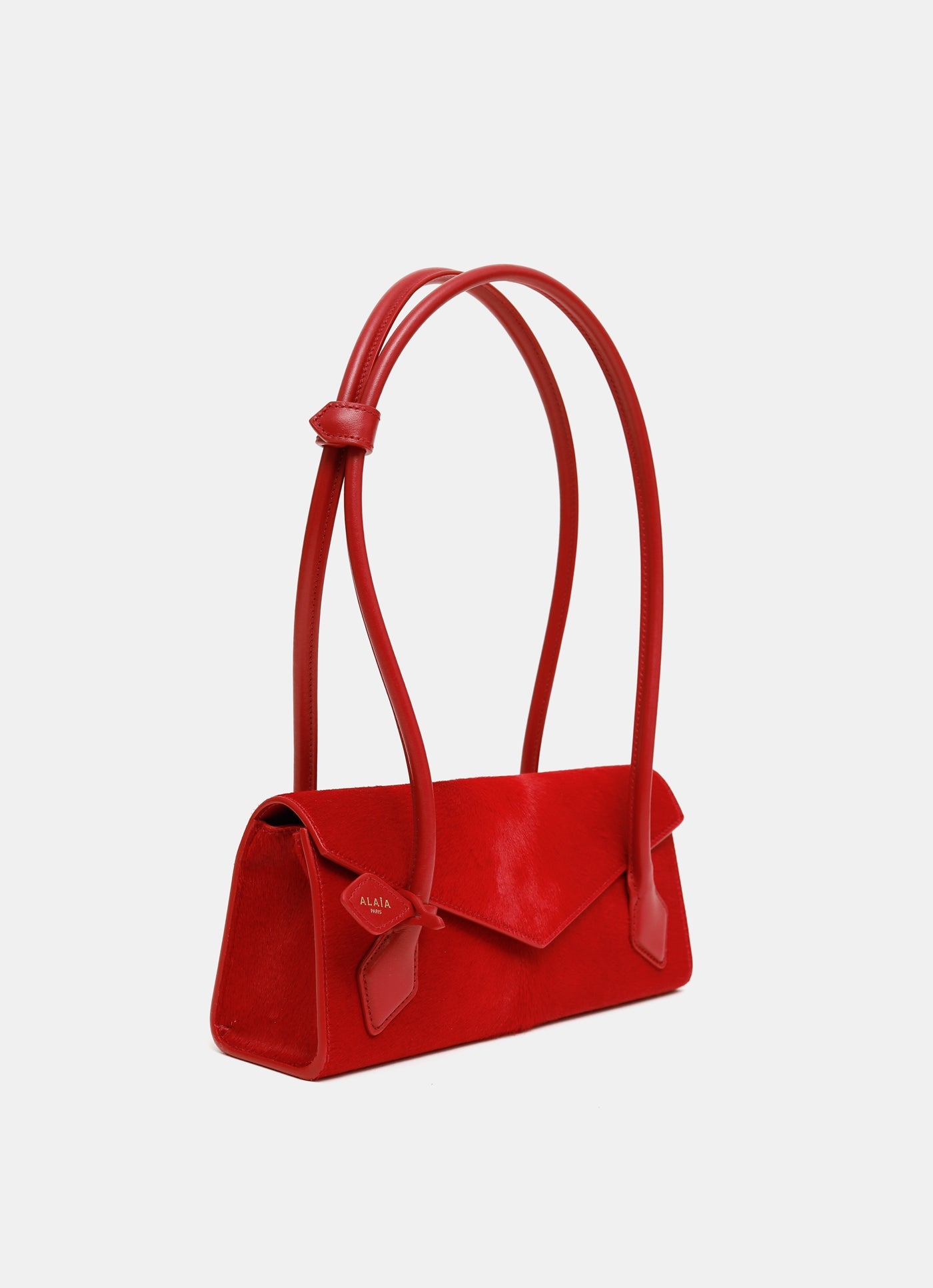 Bolso pequeño Le Teckel con solapa